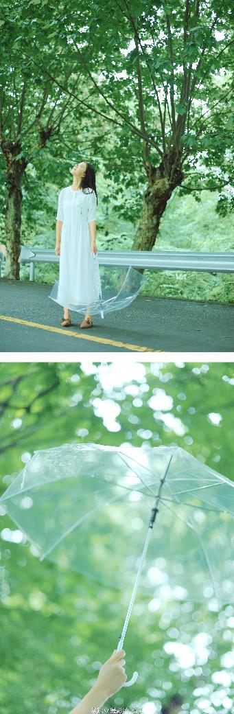 为什么老师会在这里第一季全集在线观看