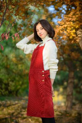 后妈的桃花源早就红了歌词